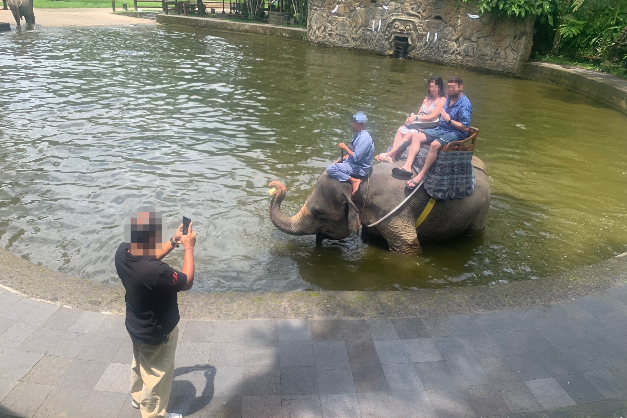 Un elefante cautivo en una atracción turística en Tailandia