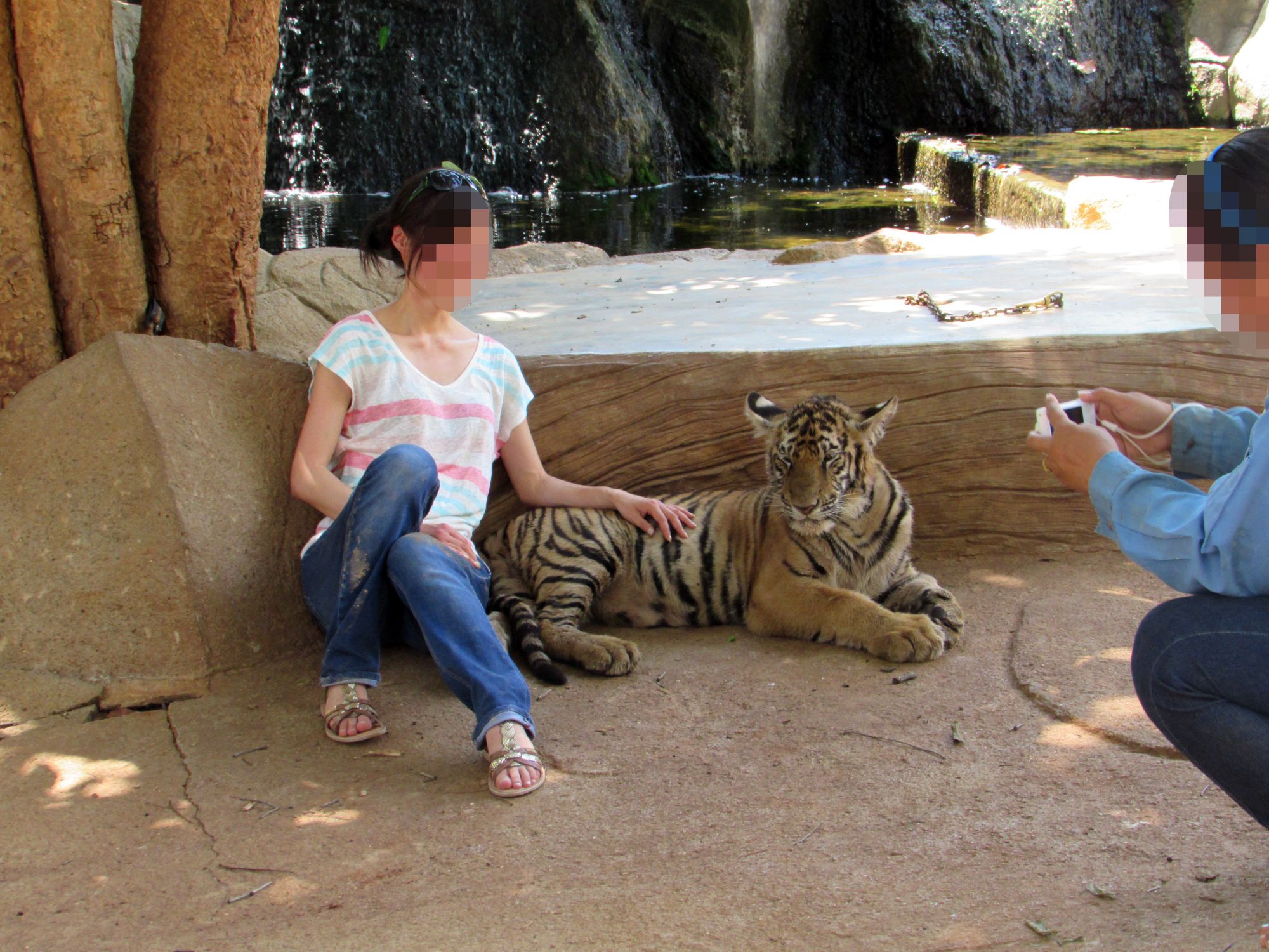 Una turista posa con una tigre cautivo en China.